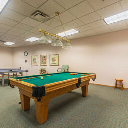Recreation room with a pool table, table tennis and more!